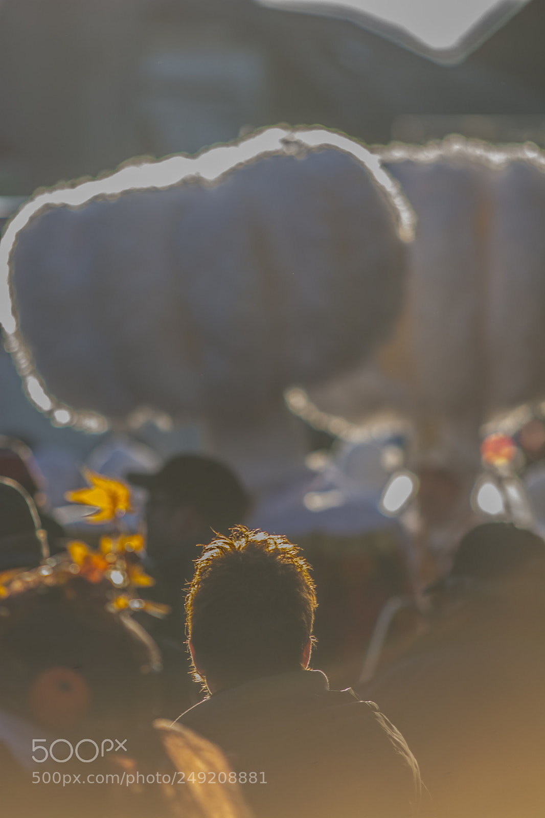 Nikon D7100 sample photo. Carnaval photography