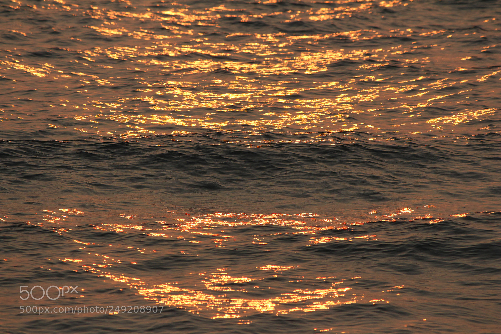 Canon EF-S 55-250mm F4-5.6 IS II sample photo. Shining photography