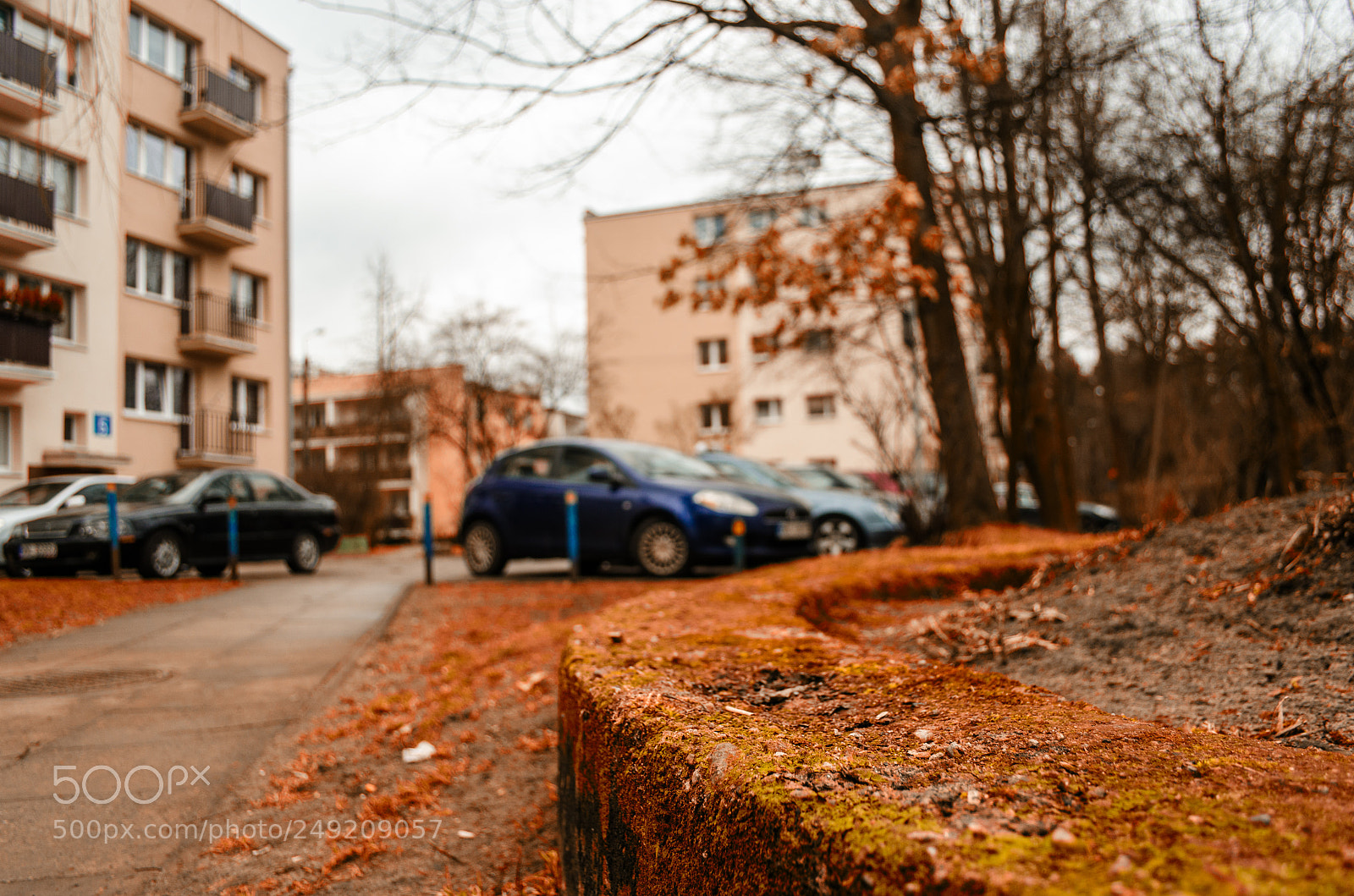 Nikon D5100 sample photo. Brown photography