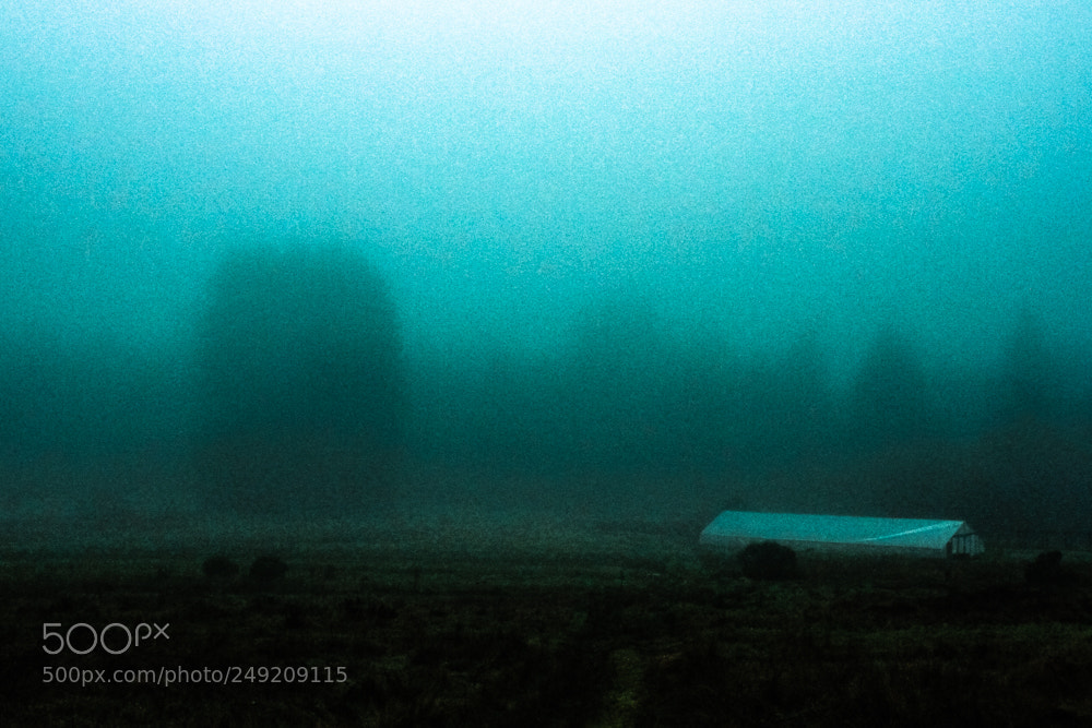 Canon EOS 7D sample photo. A foggy dream photography