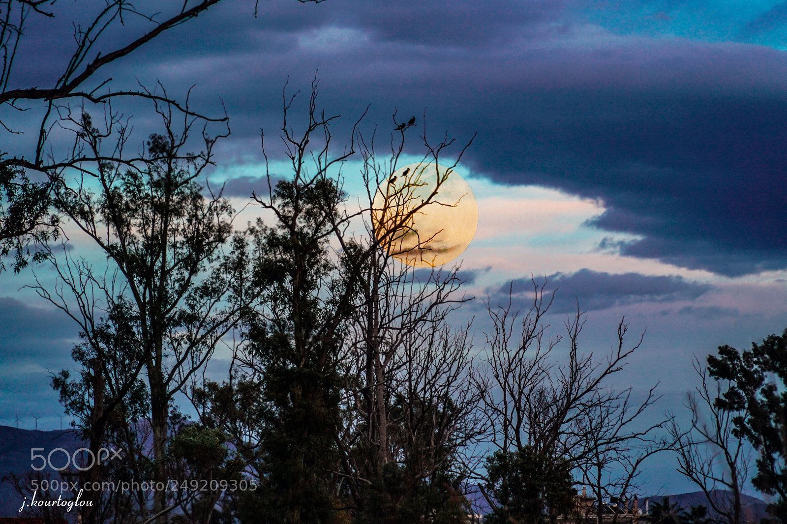 Sony a6500 sample photo. In the twilight photography