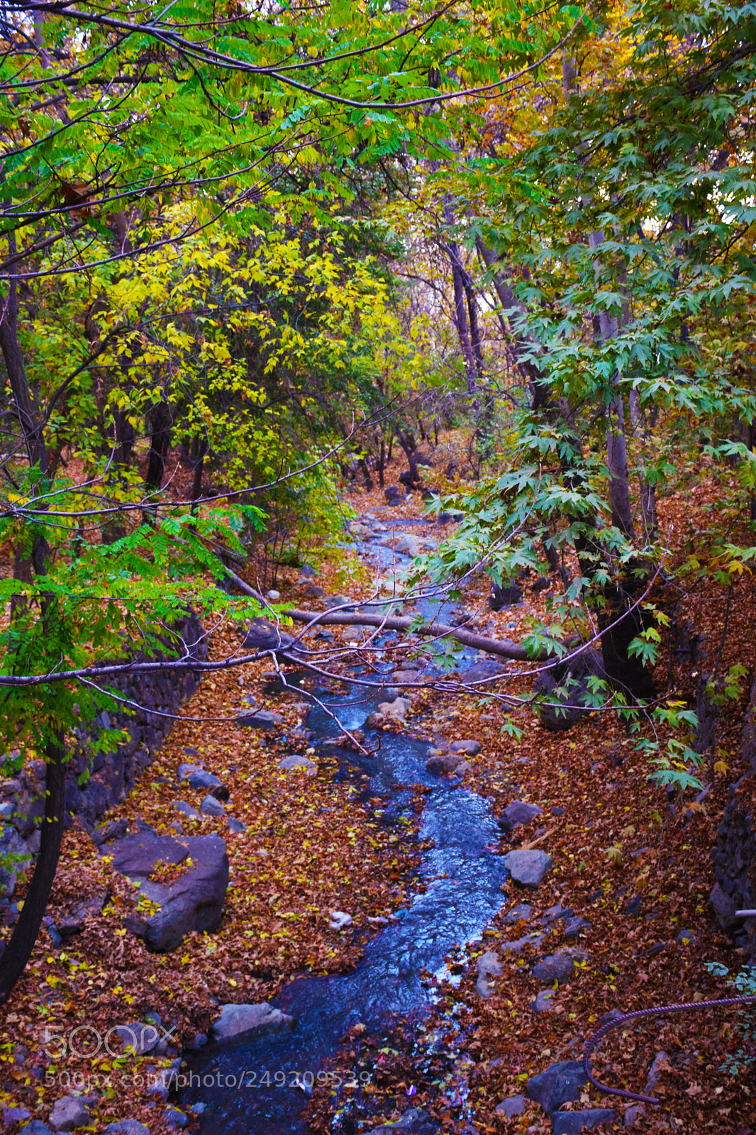 Nikon D5300 sample photo. My tehran photography