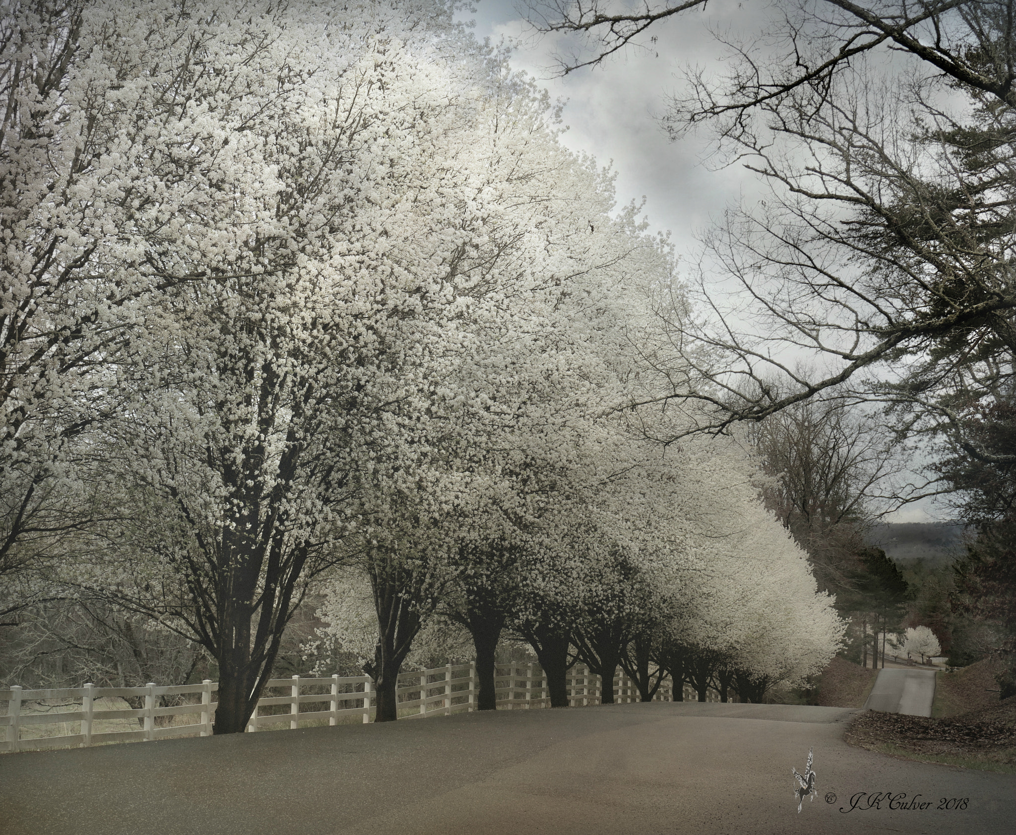 Canon EOS 77D (EOS 9000D / EOS 770D) sample photo. The beauty of nature photography