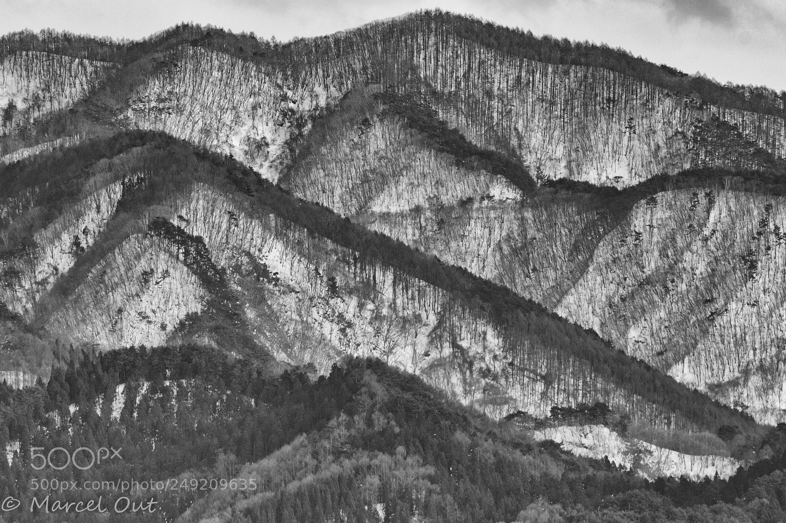Nikon D500 sample photo. Hillsides photography