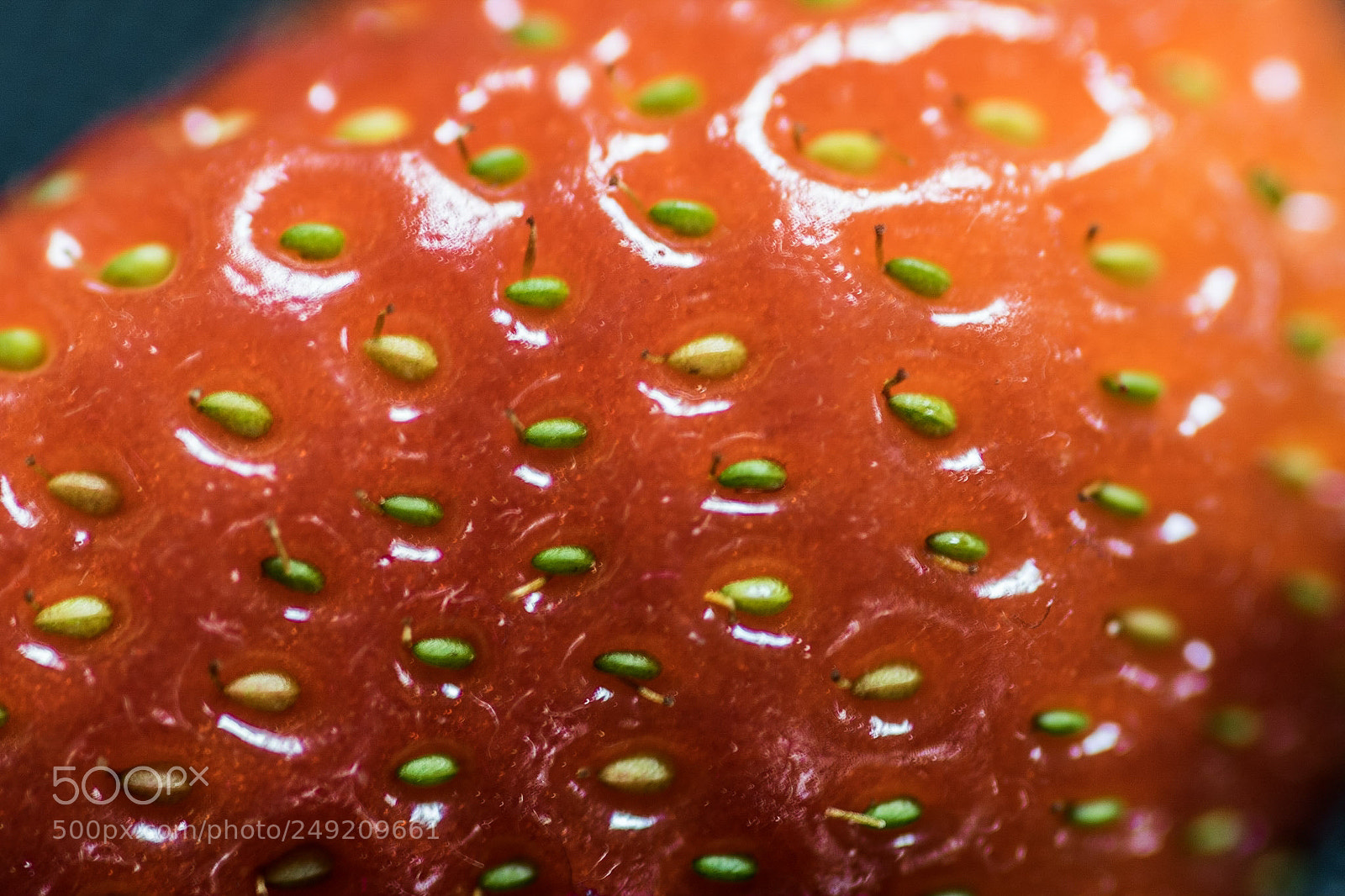 Nikon D3300 sample photo. Macro-berry photography