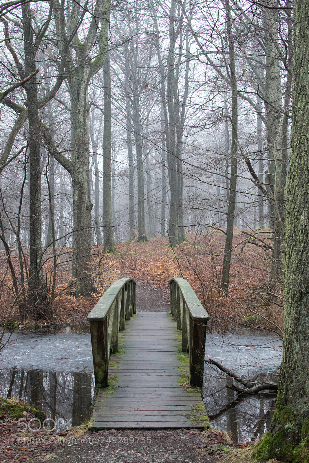 Nikon D3300 sample photo. The crossing... photography