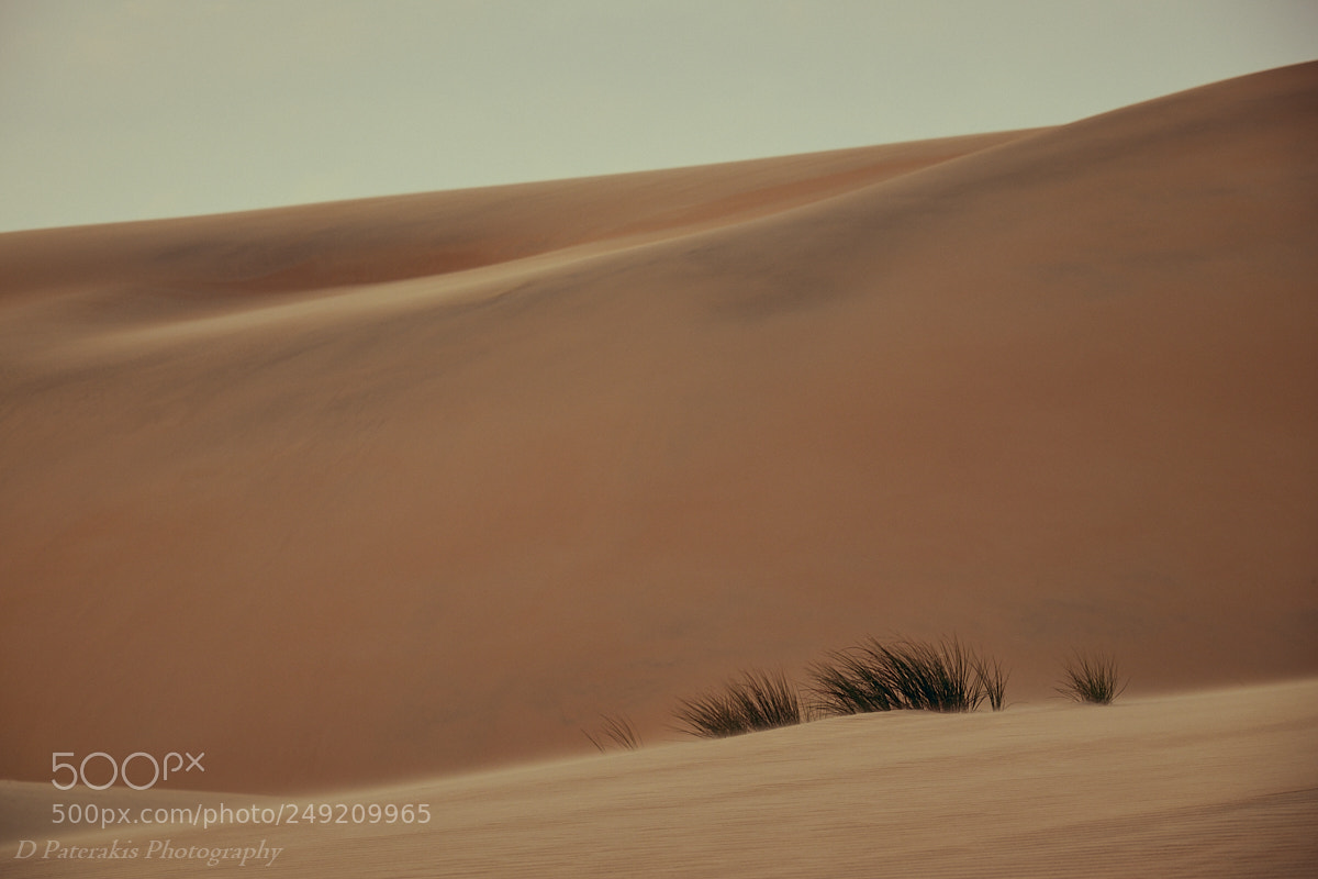 Fujifilm X-T1 sample photo. Desert photography