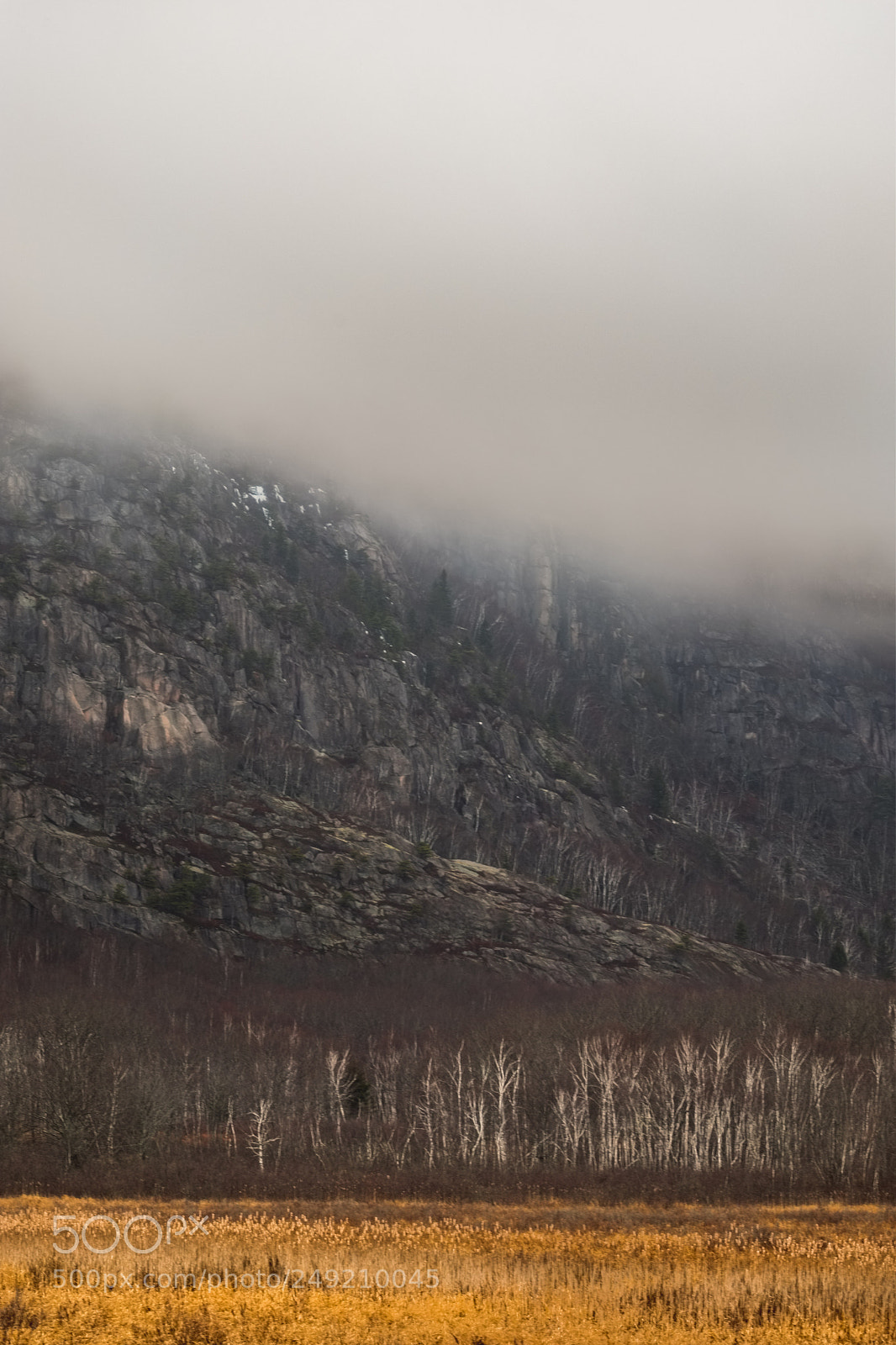Fujifilm X-T2 sample photo. Acadia national park, layers photography