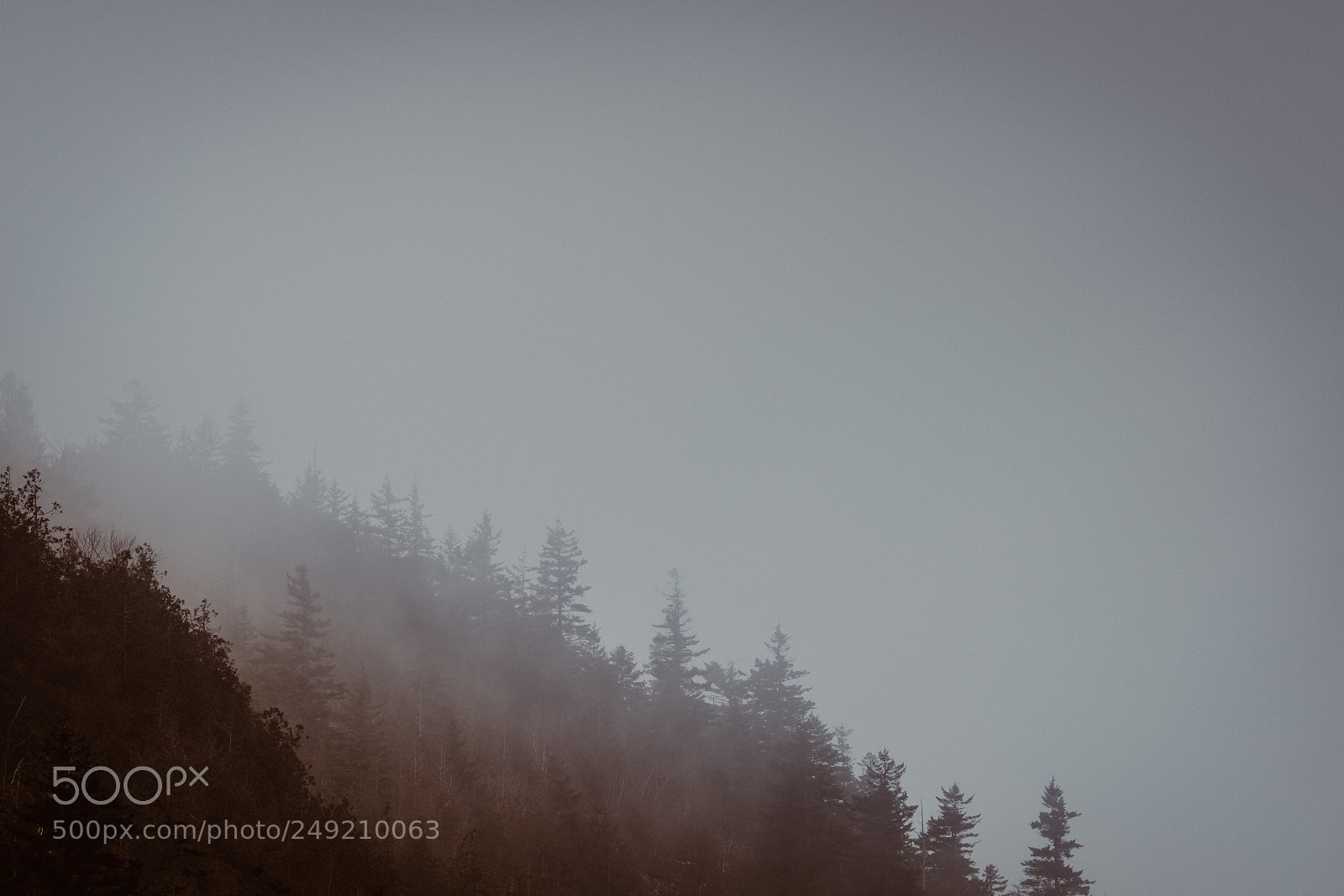 Fujifilm X-T2 sample photo. Acadia national park, fog photography