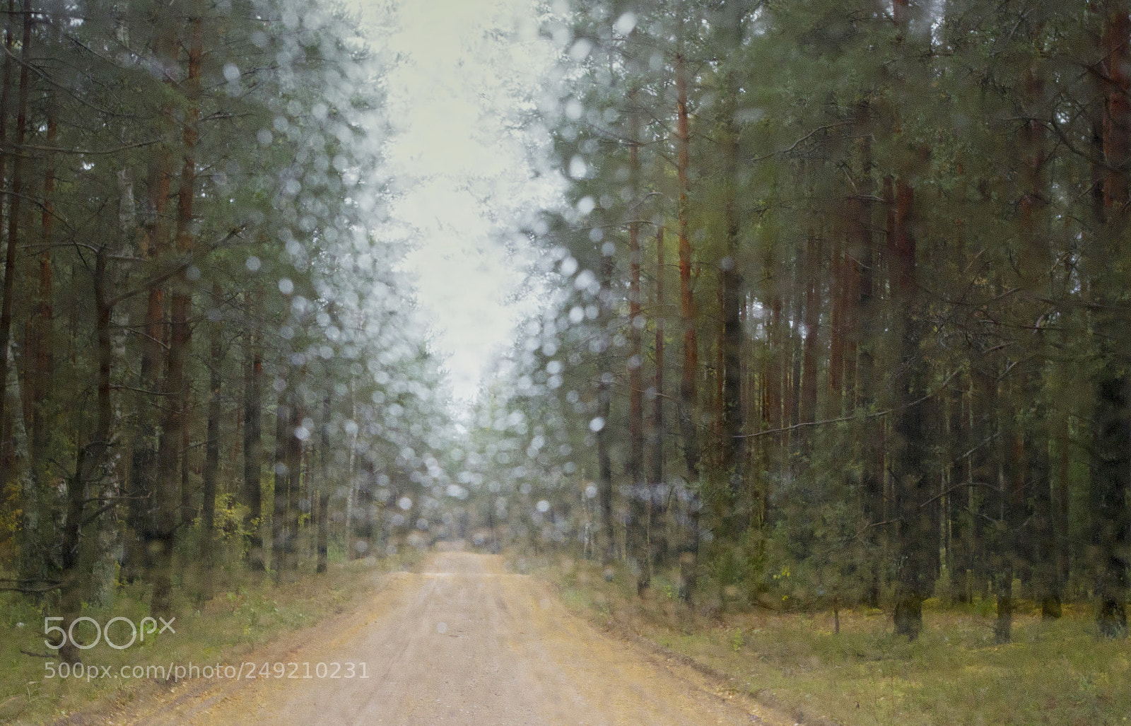 Canon EOS 7D sample photo. It's raining photography