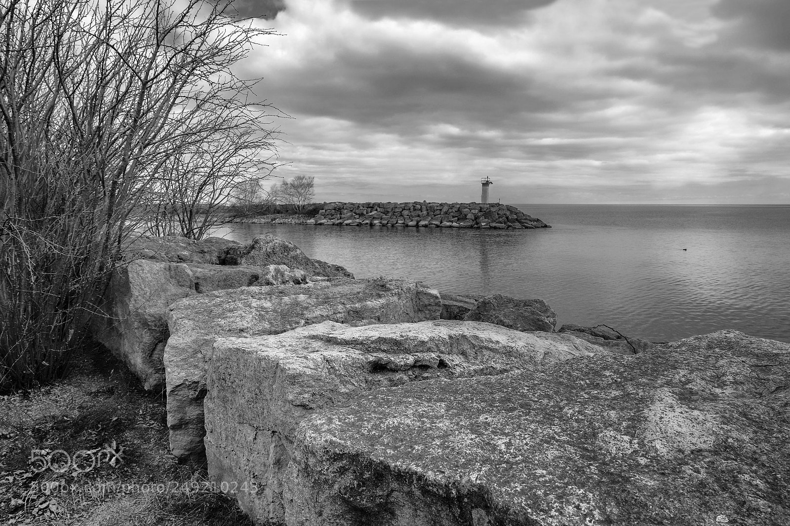 Fujifilm X-E2 sample photo. Lakeview park photography