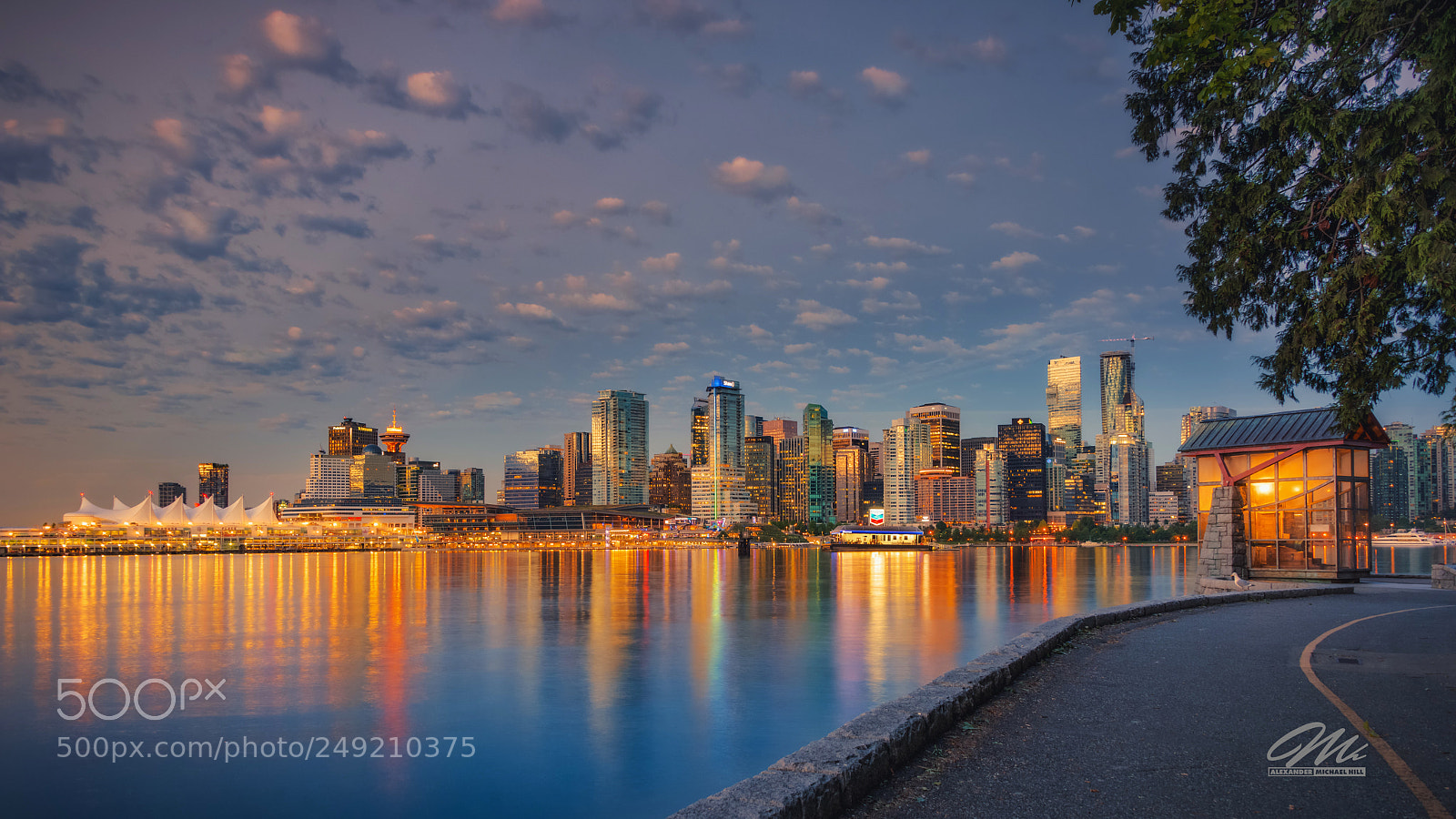 Nikon D800 sample photo. Vancouver lights photography
