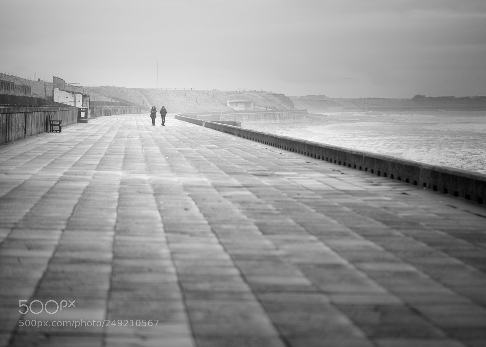 Fujifilm GFX 50S sample photo. A quiet walk photography