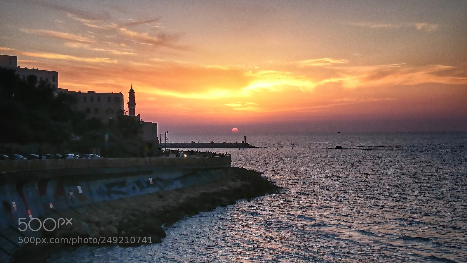Sony Xperia XZ sample photo. Spring warmth photography