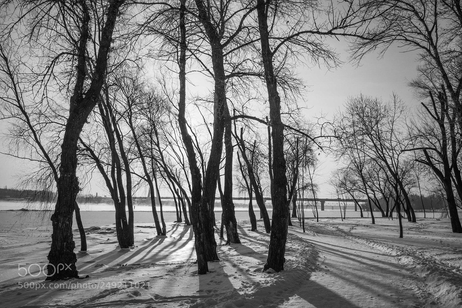 Nikon D610 sample photo. Winter air... photography