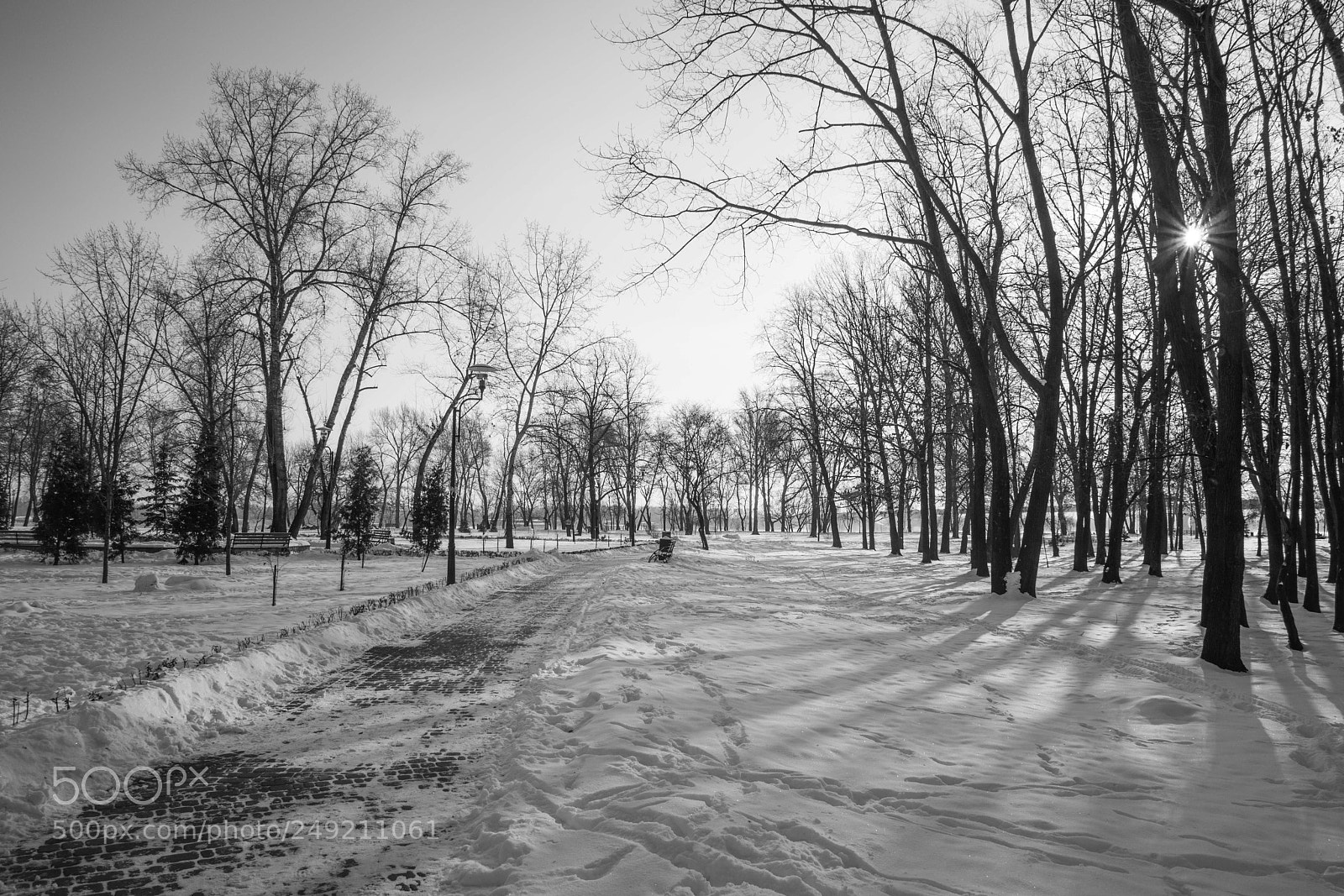 Nikon D610 sample photo. Winter air... photography