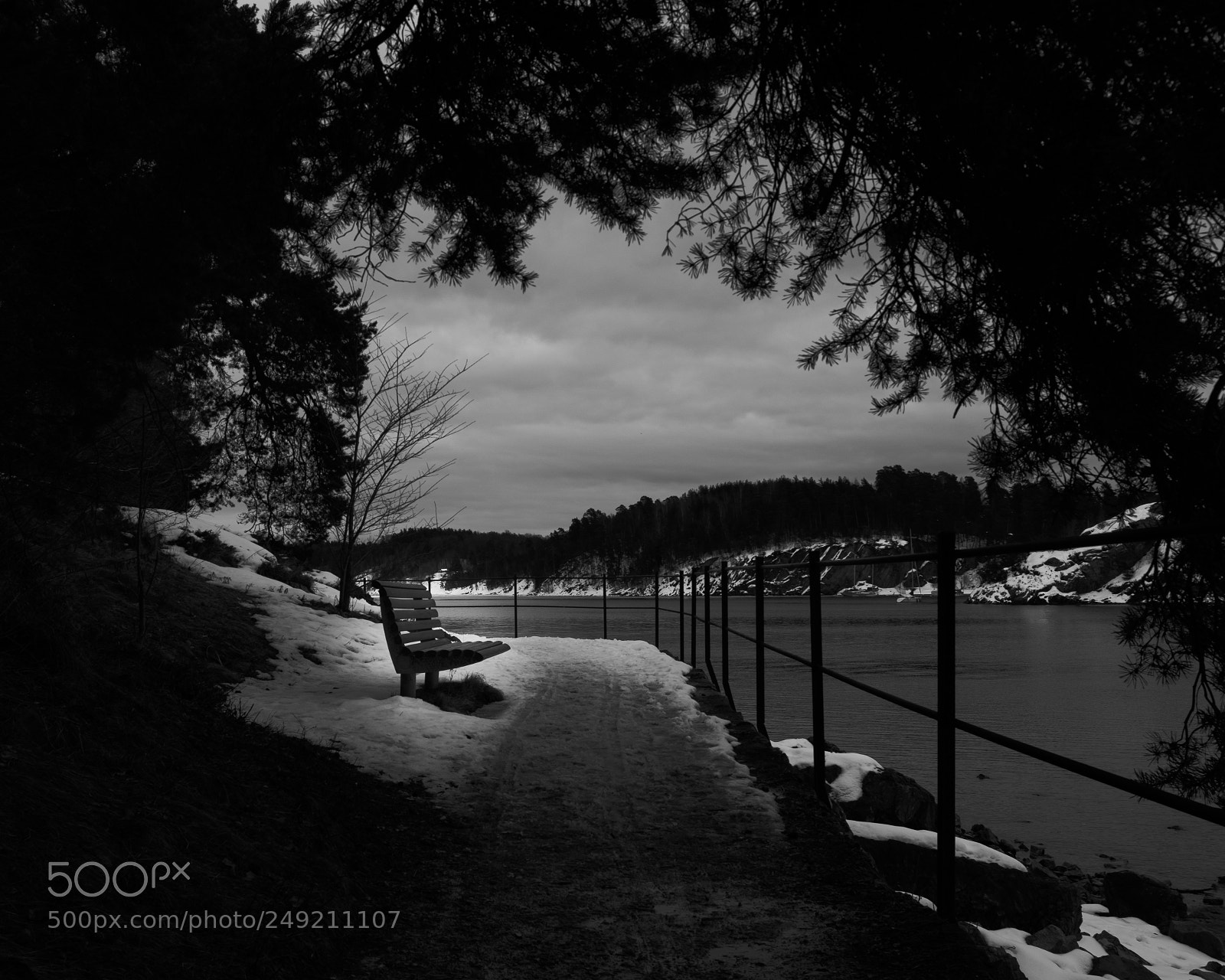 Fujifilm X-T20 sample photo. Untitled photography
