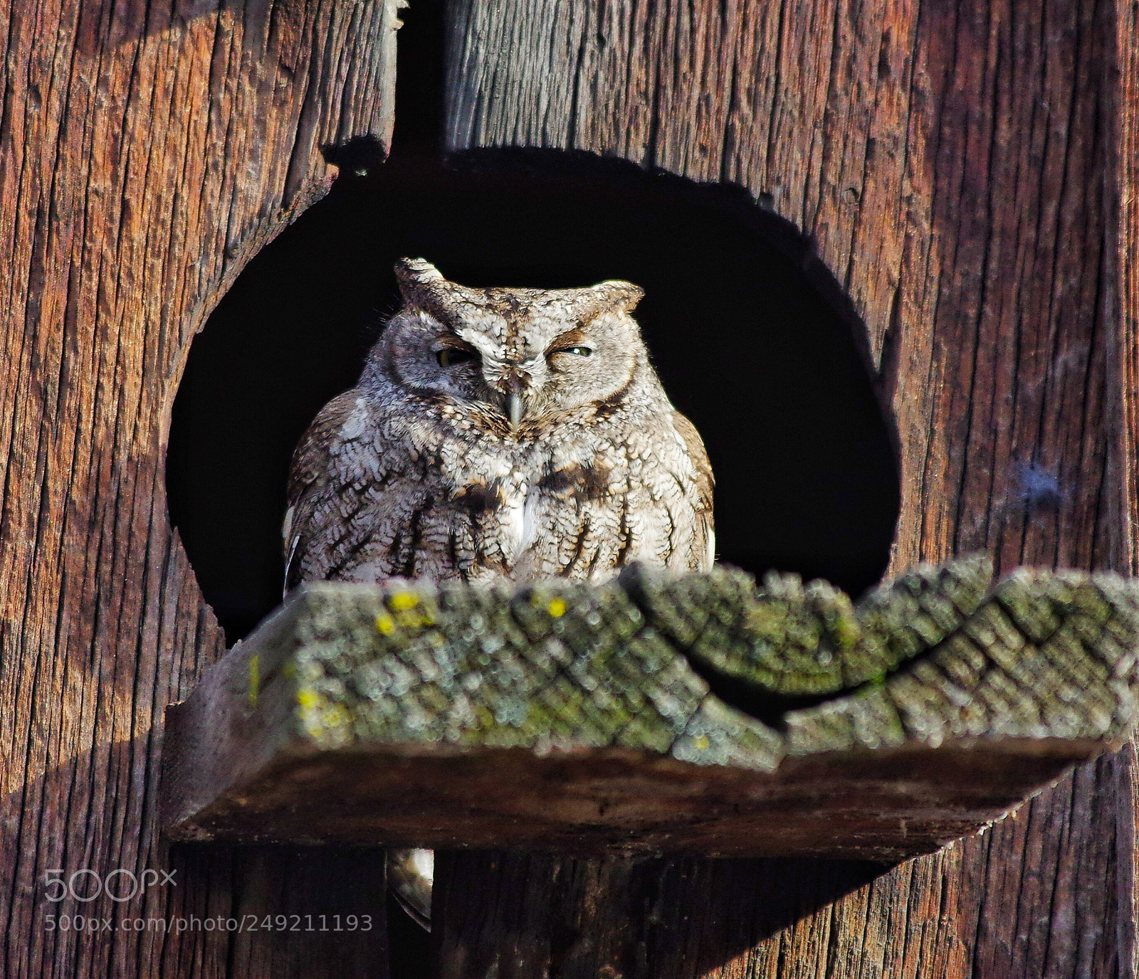 Pentax K-3 sample photo. Untitled photography