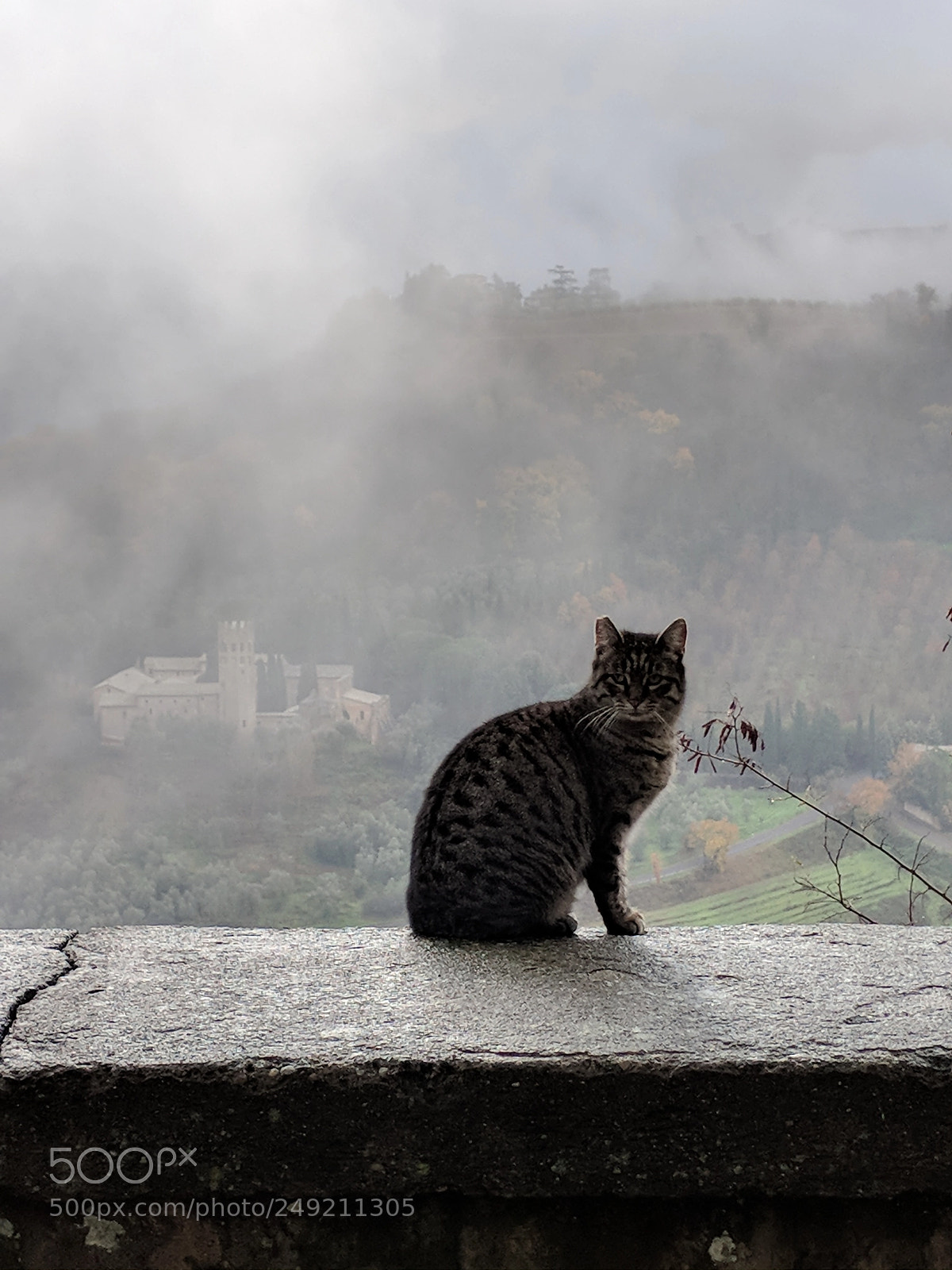 Google Pixel 2 sample photo. Castle in the sky photography