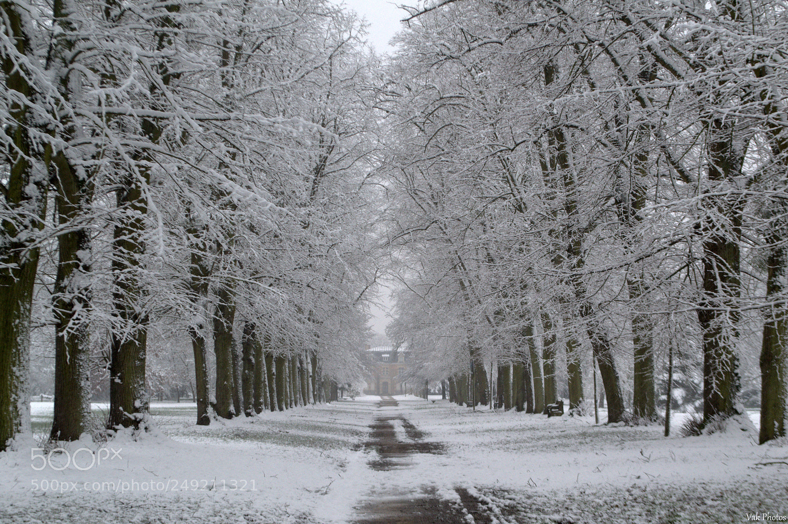 Nikon D3100 sample photo. Snow photography