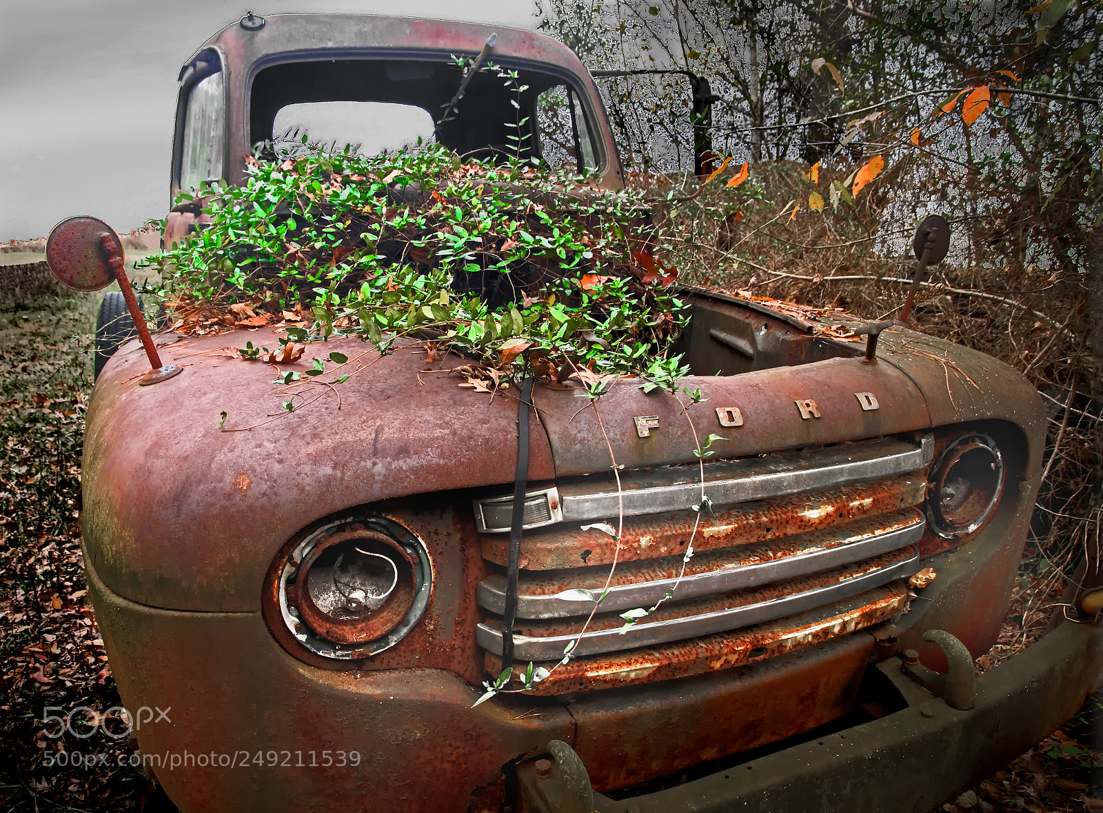 Nikon D500 sample photo. Ford as flower pot photography