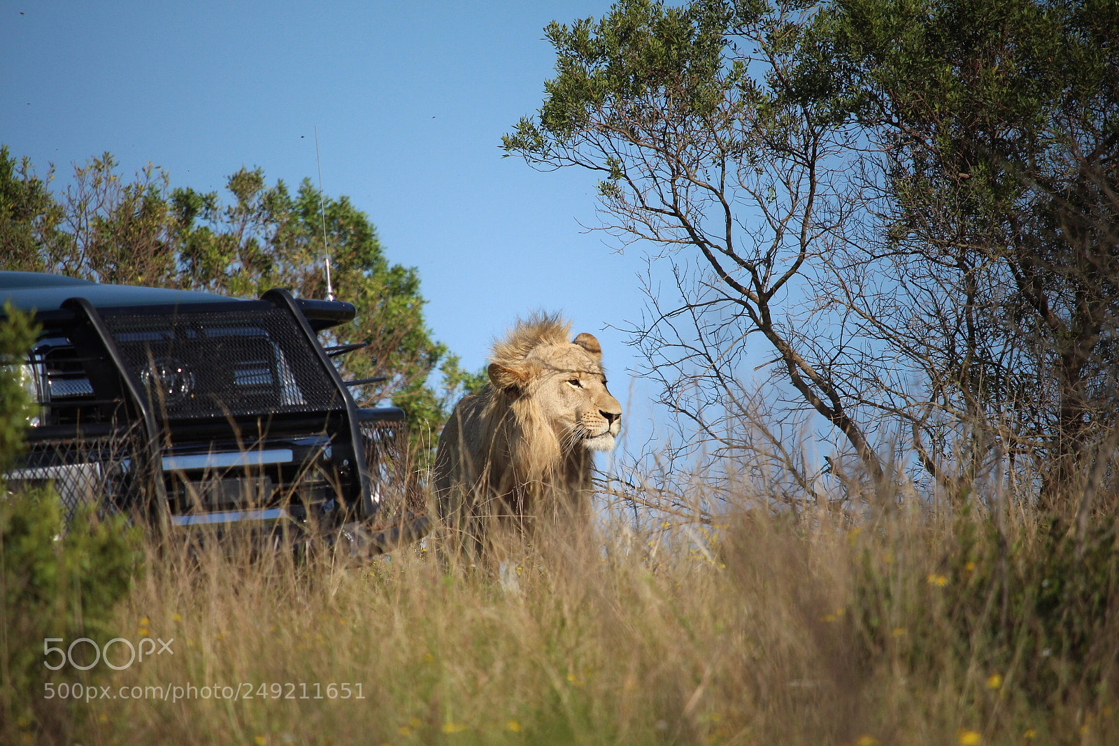 Canon EOS 700D (EOS Rebel T5i / EOS Kiss X7i) sample photo. Südafrika photography