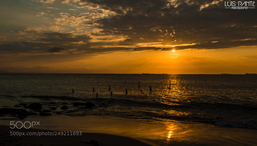 Nikon D3200 sample photo. Especial place photography