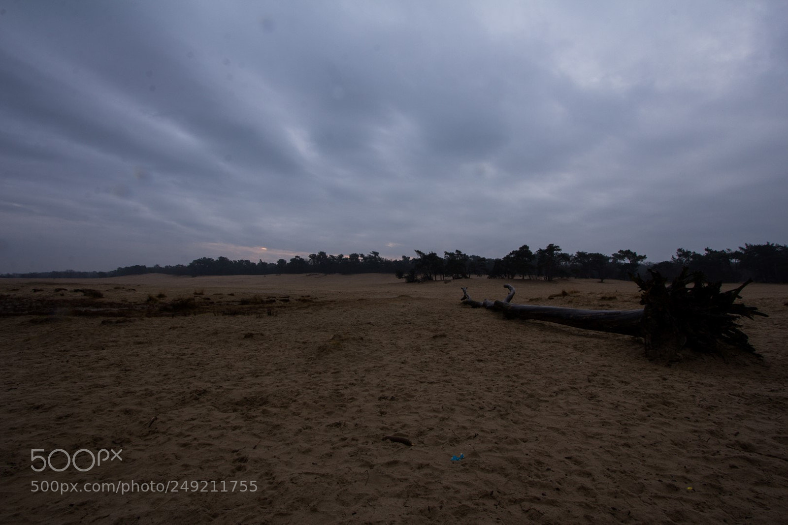 Canon EOS 60D sample photo. Sunrise drunense duinen photography
