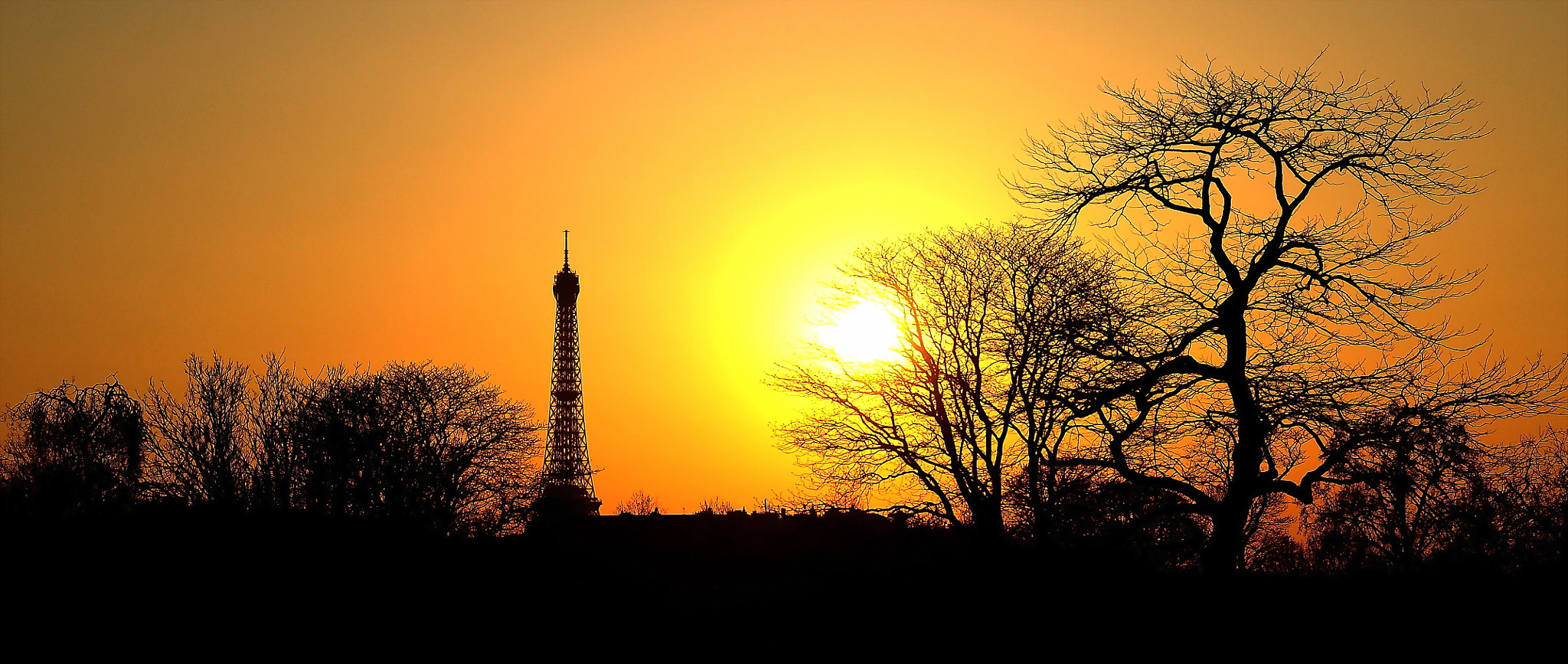 Nikon D90 sample photo. Paris jungle photography