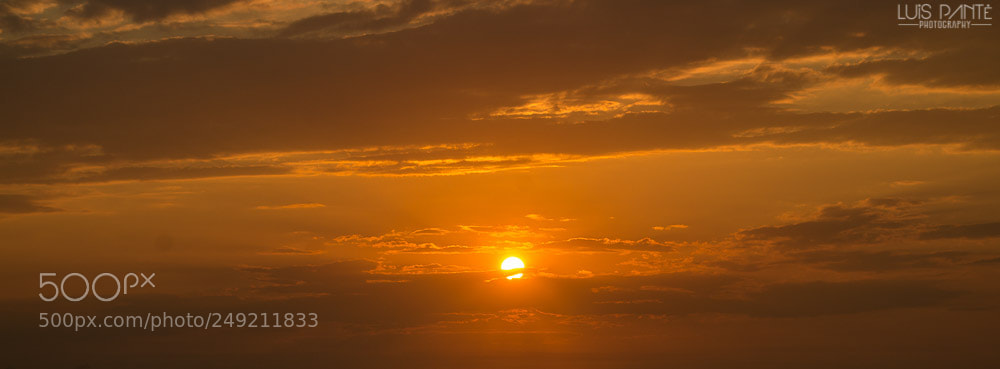 Nikon D3200 sample photo. When shes gone photography