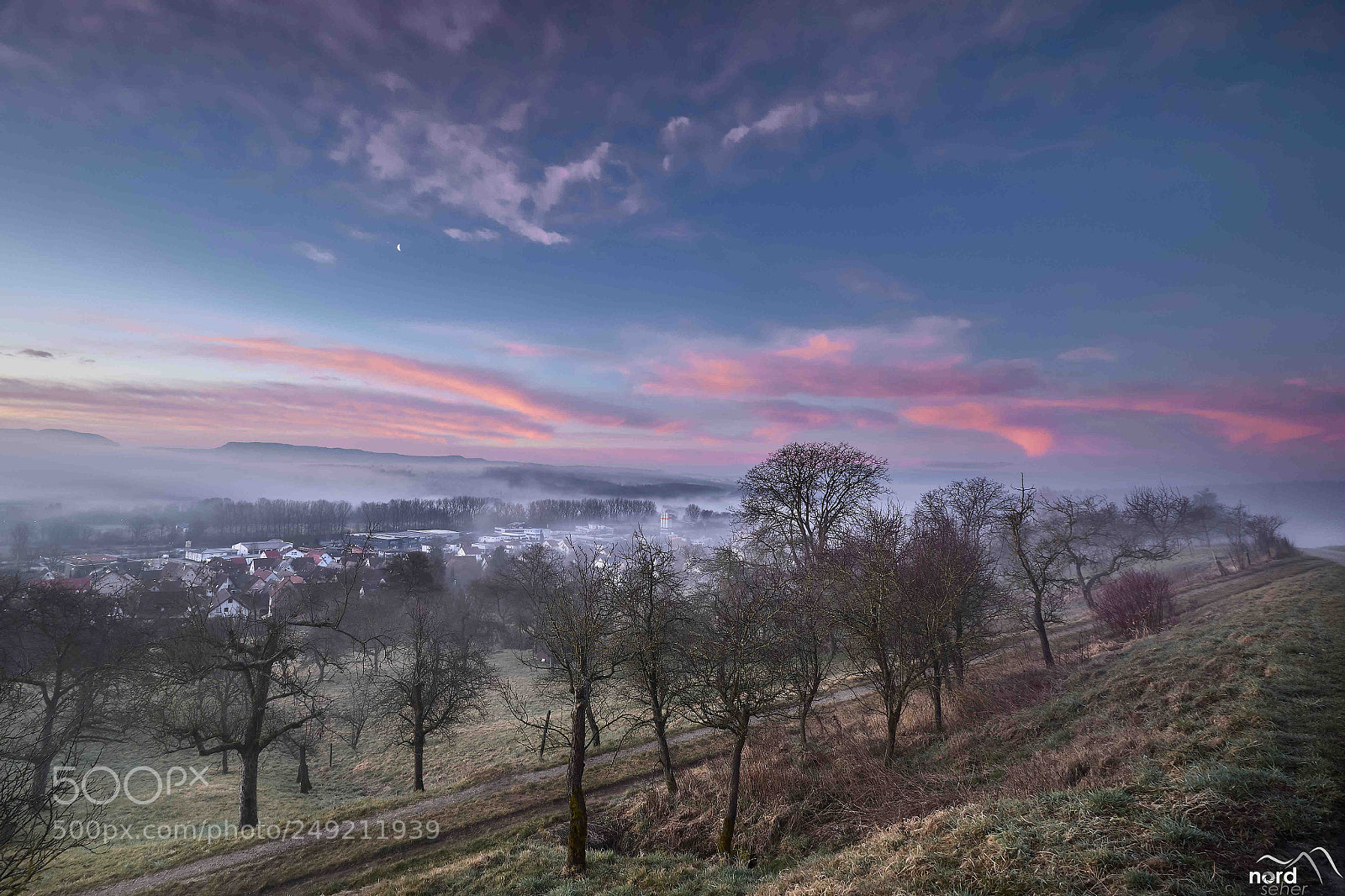 Sony ILCA-77M2 sample photo. Ein nebelmorgen in neckartailfingen photography