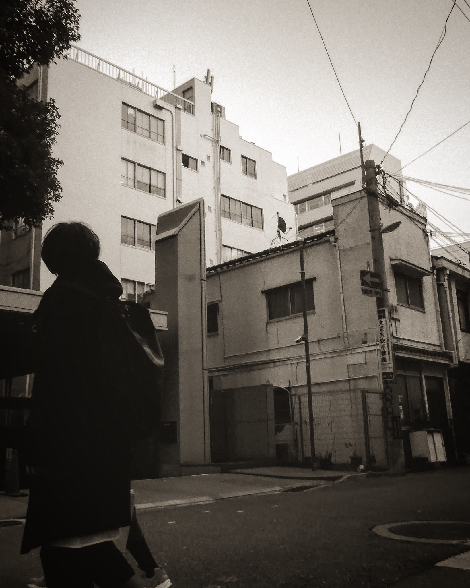 Panasonic DMC-TZ85 sample photo