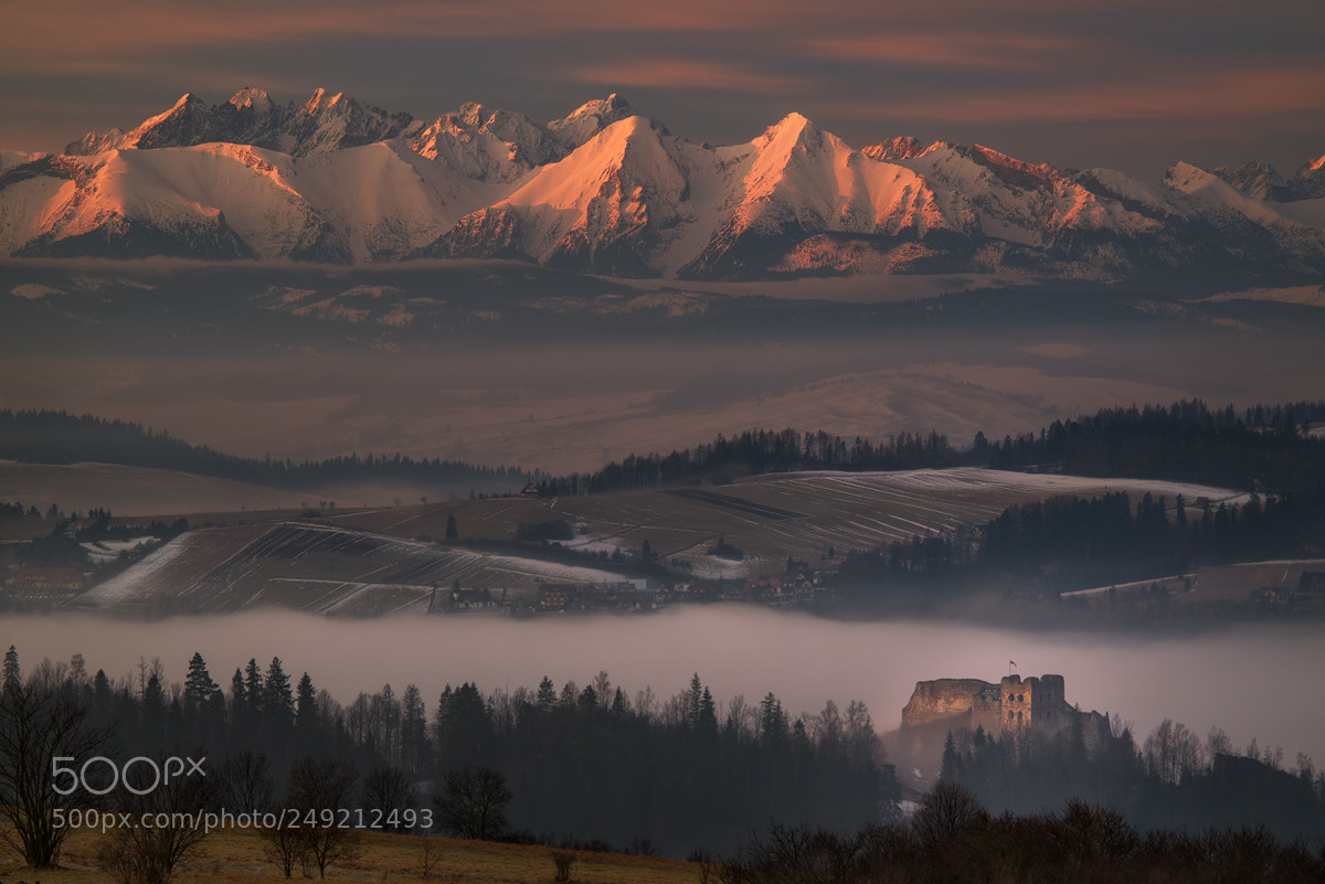 Nikon D610 sample photo. Czorsztyn castle and tatras photography