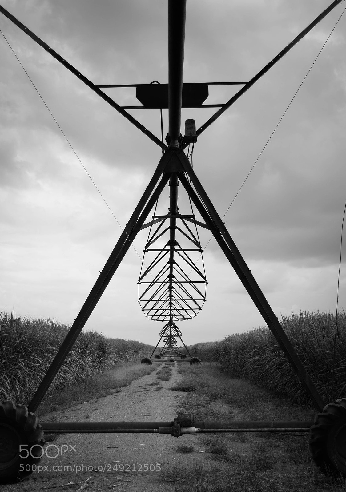 Nikon D3100 sample photo. Rainmaker photography
