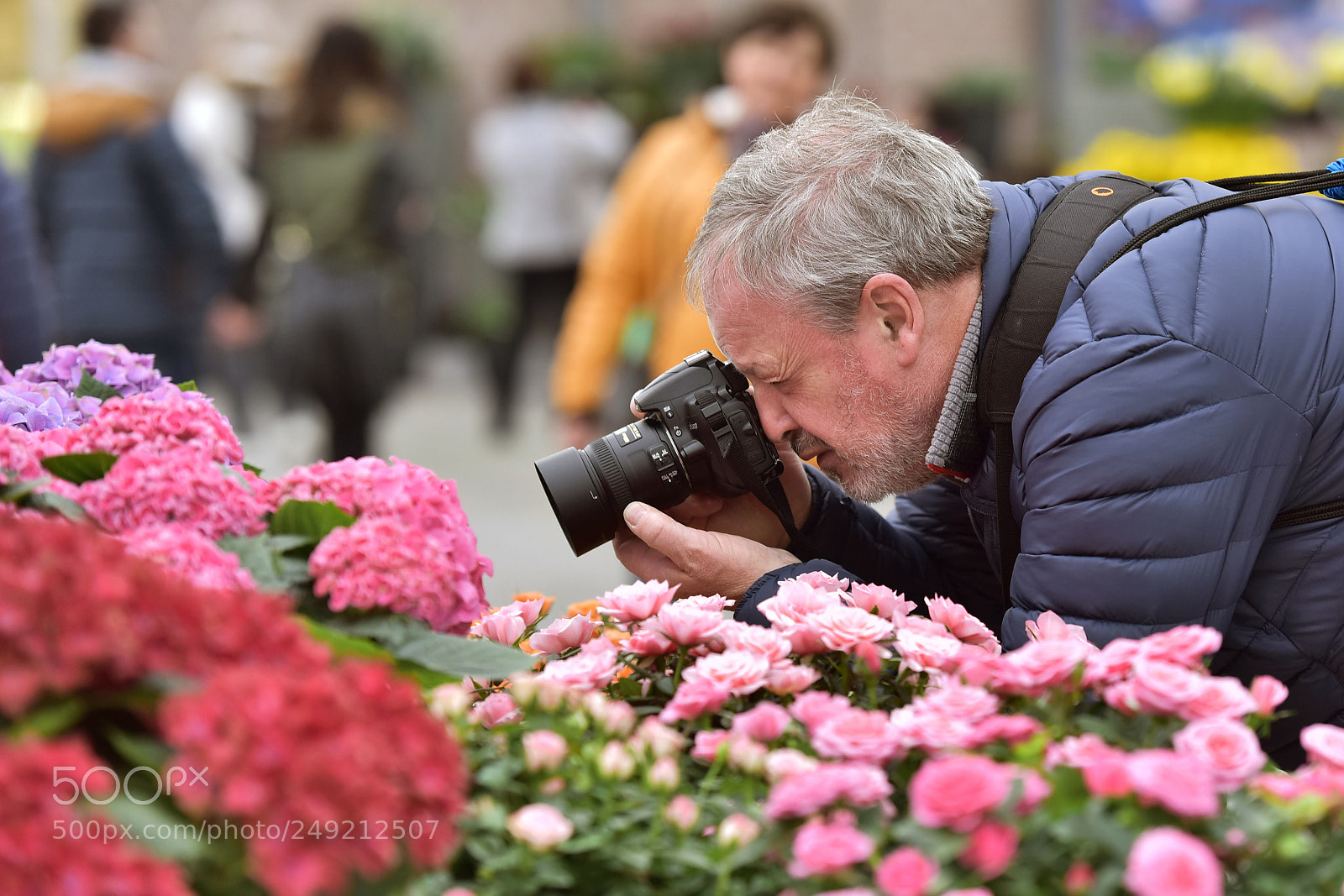 Nikon D810 sample photo. улица photography