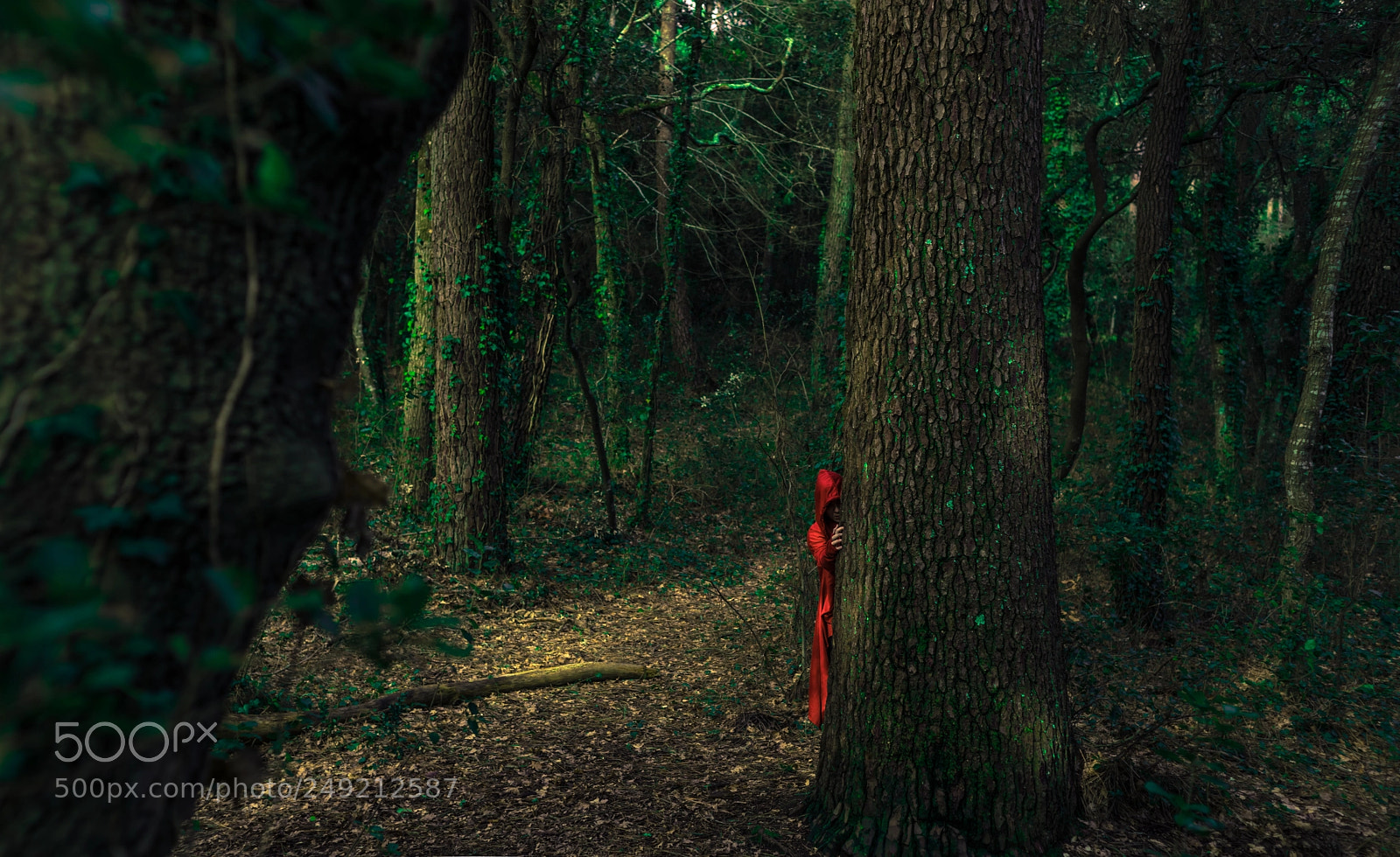 Canon EOS 5D Mark IV sample photo. Hidden feelings photography