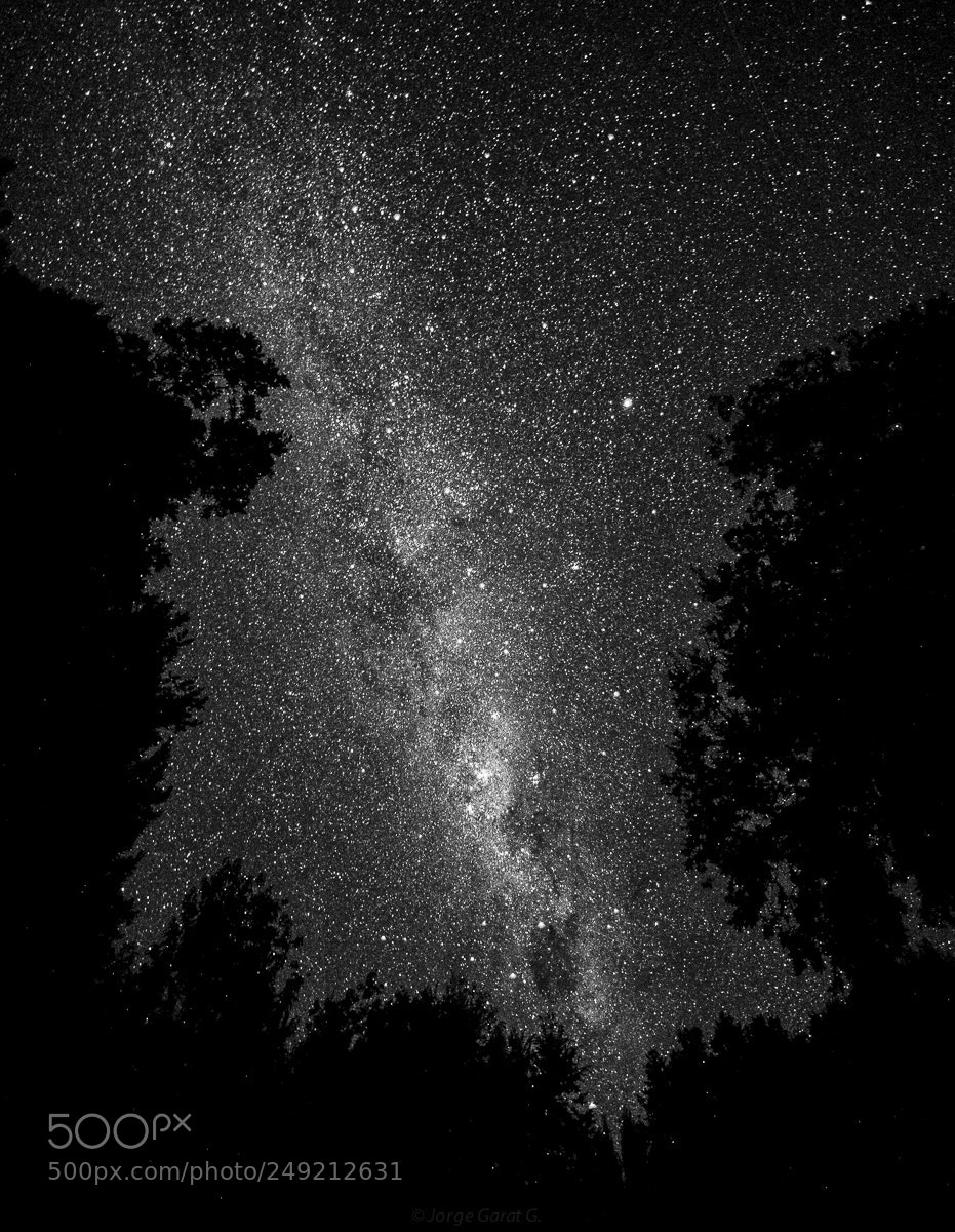 Nikon D700 sample photo. Milky way over chile photography