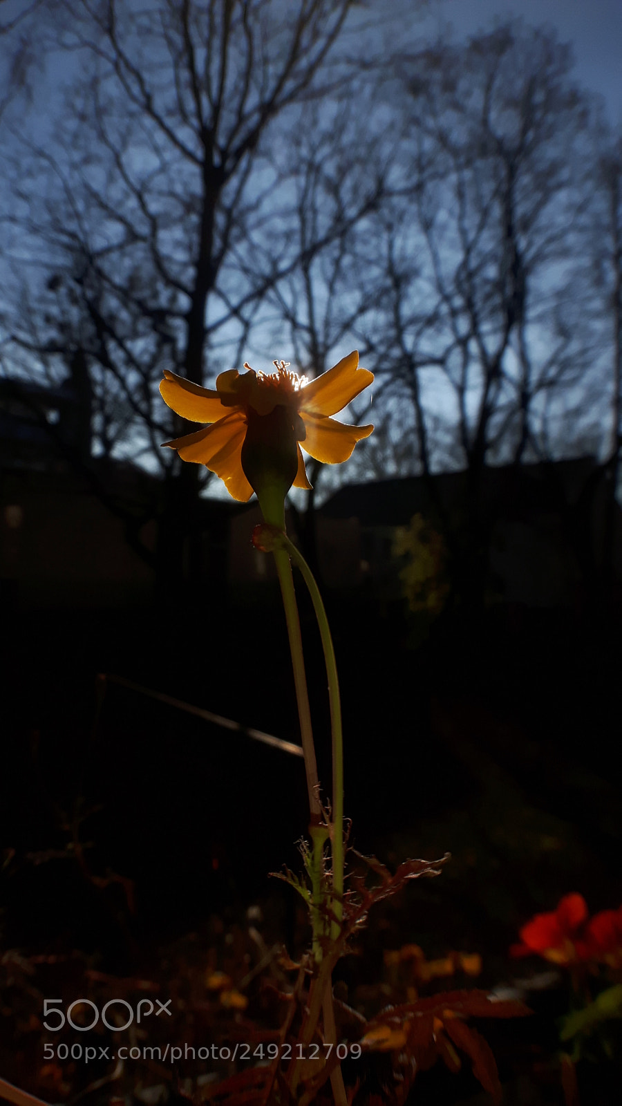 Samsung Galaxy S5 Neo sample photo. 20171203_132805.jpg photography