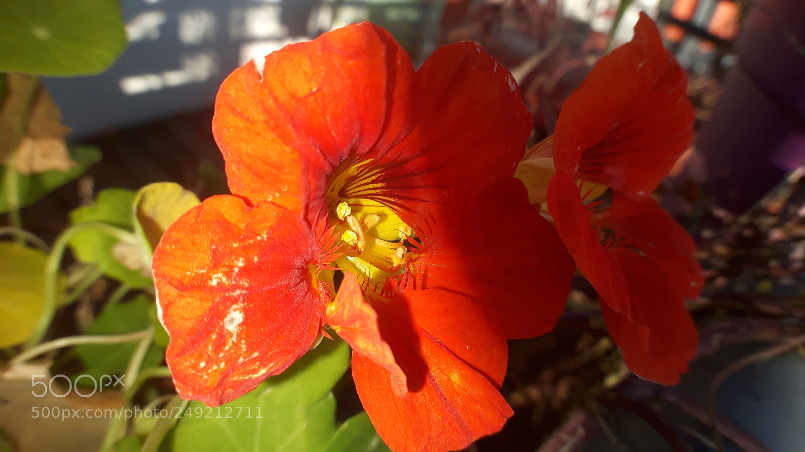 Samsung Galaxy S5 Neo sample photo. 20171203_133017.jpg photography