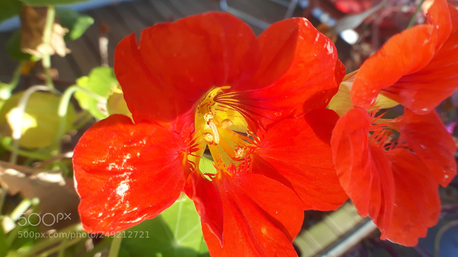 Samsung Galaxy S5 Neo sample photo. 20171203_133040.jpg photography