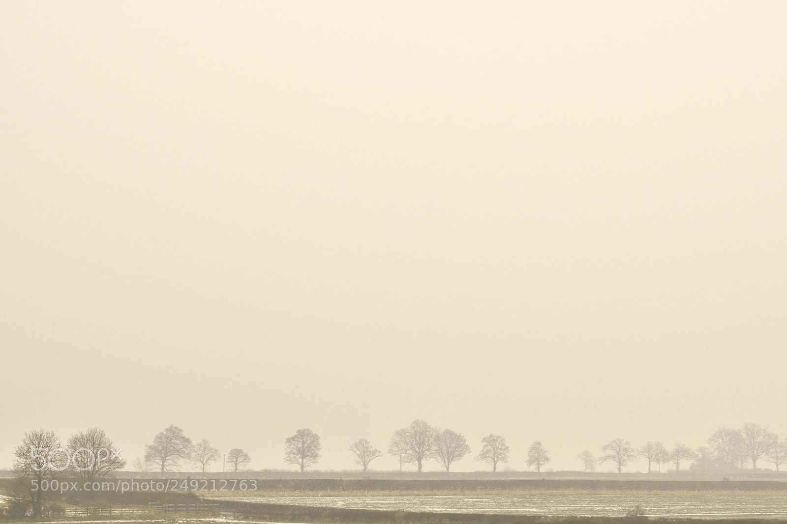 Nikon D3300 sample photo. Misty morning photography