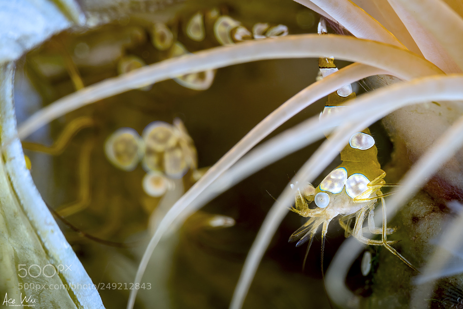 Canon EOS 5DS R sample photo. Behind photography