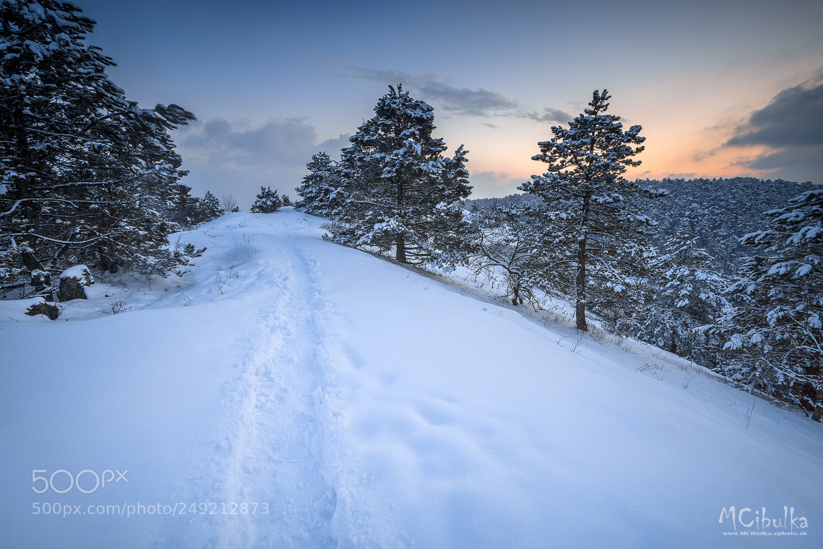 Sony a7R sample photo. Winter photography