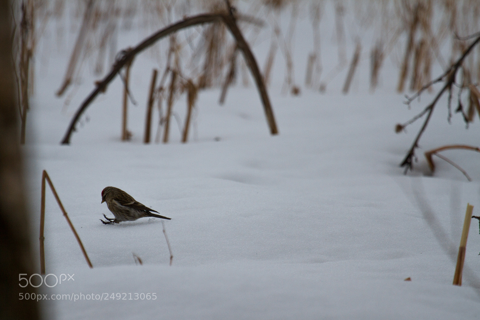 Canon EOS 7D sample photo. Braking trail photography