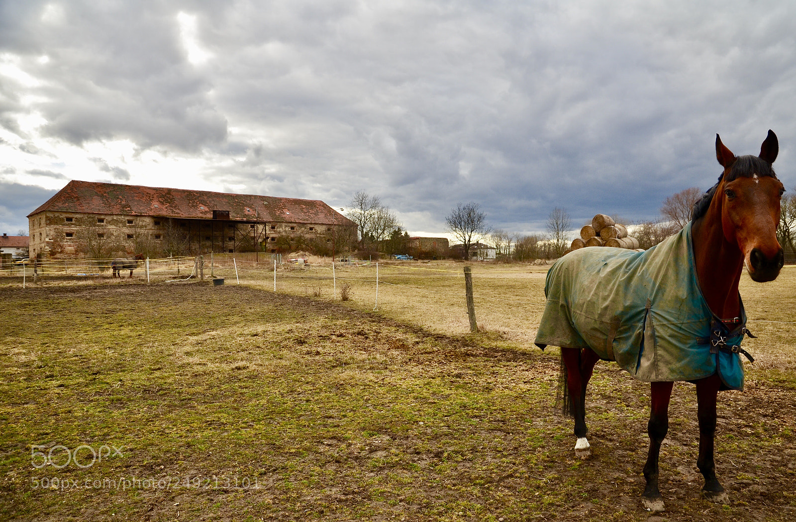 Nikon D5100 sample photo. Big barn and horse photography