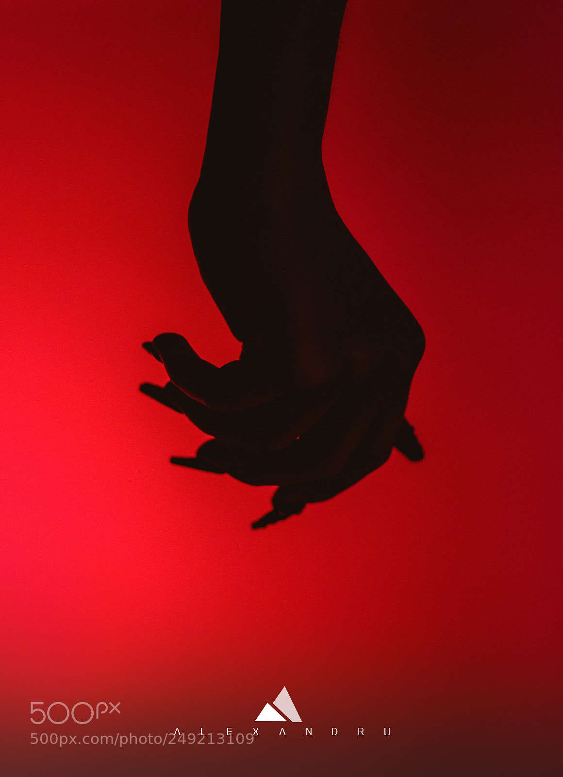 Nikon D500 sample photo. Hand photography