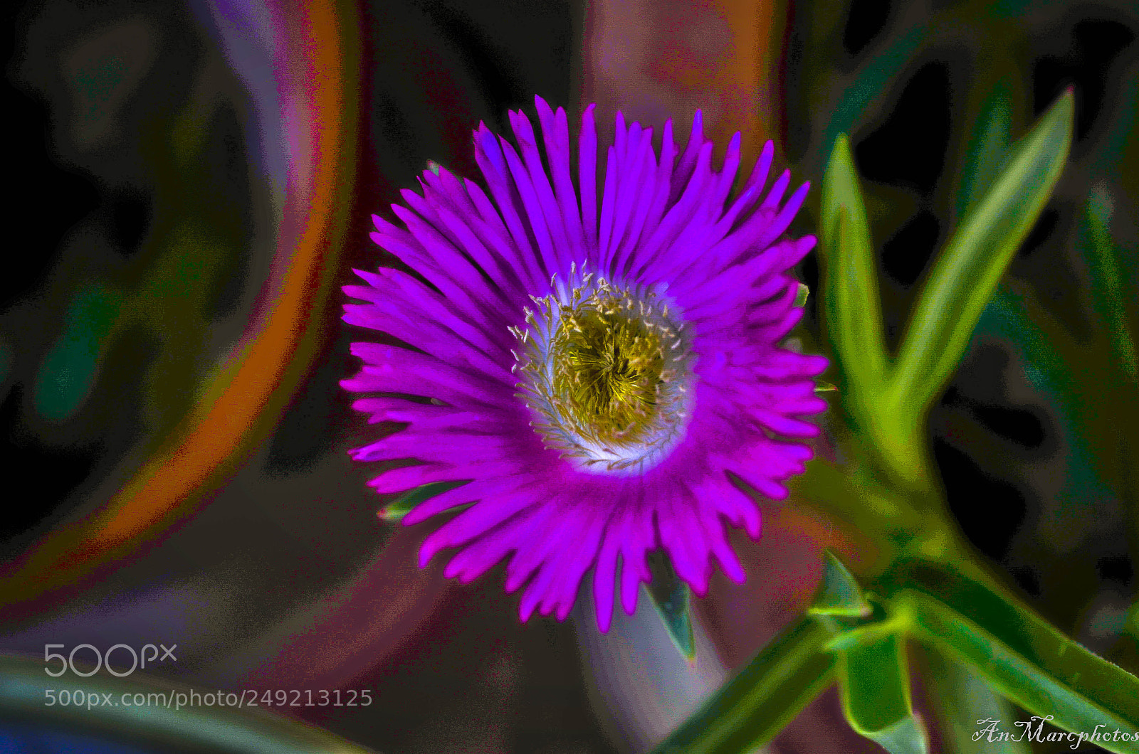 Nikon D7000 sample photo. Fleurs de printemps spring photography