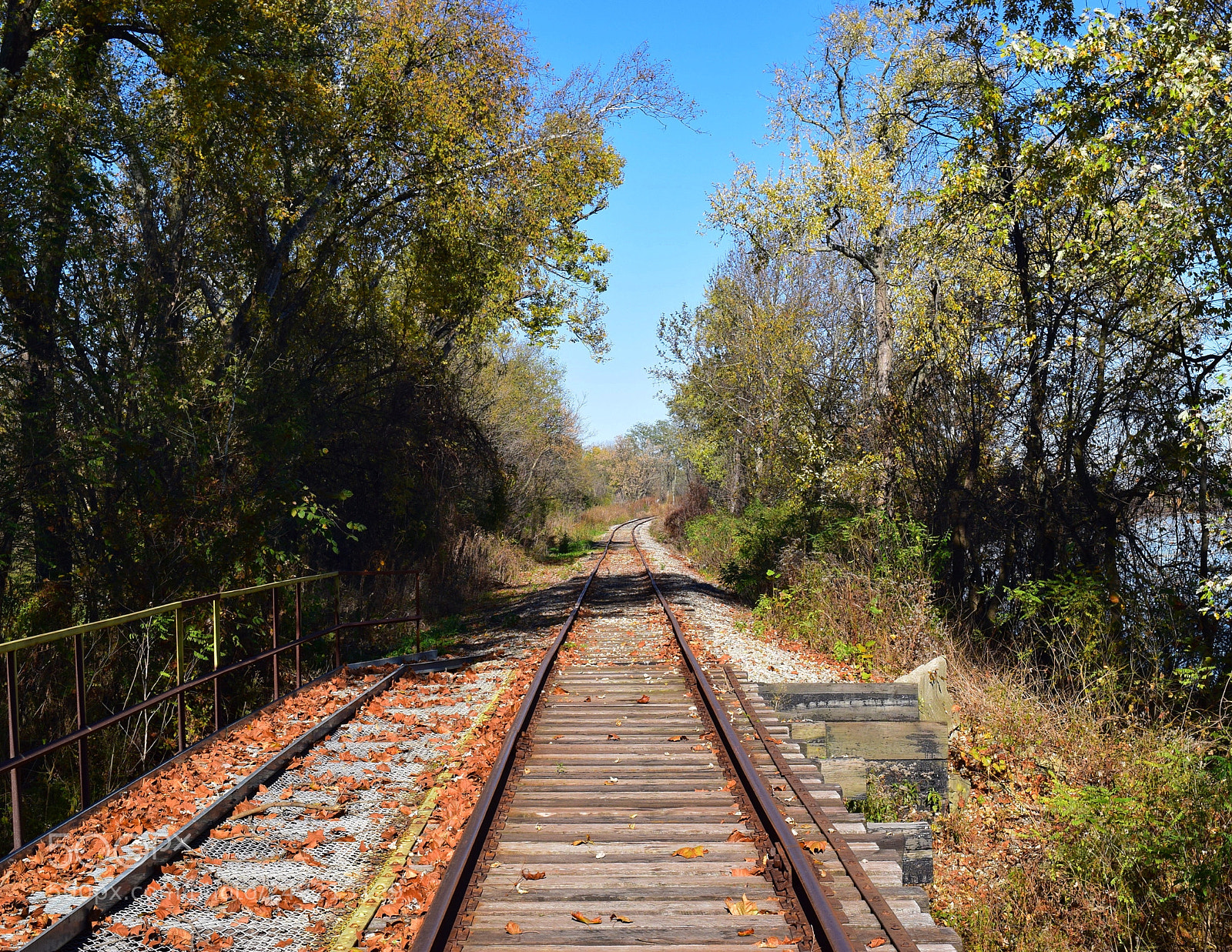 Nikon D3300 sample photo. Make your own path photography