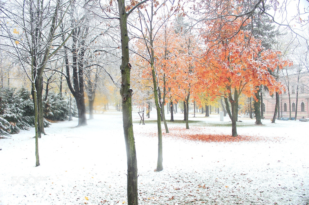 Canon EOS 600D (Rebel EOS T3i / EOS Kiss X5) sample photo. Two seasons in prague photography