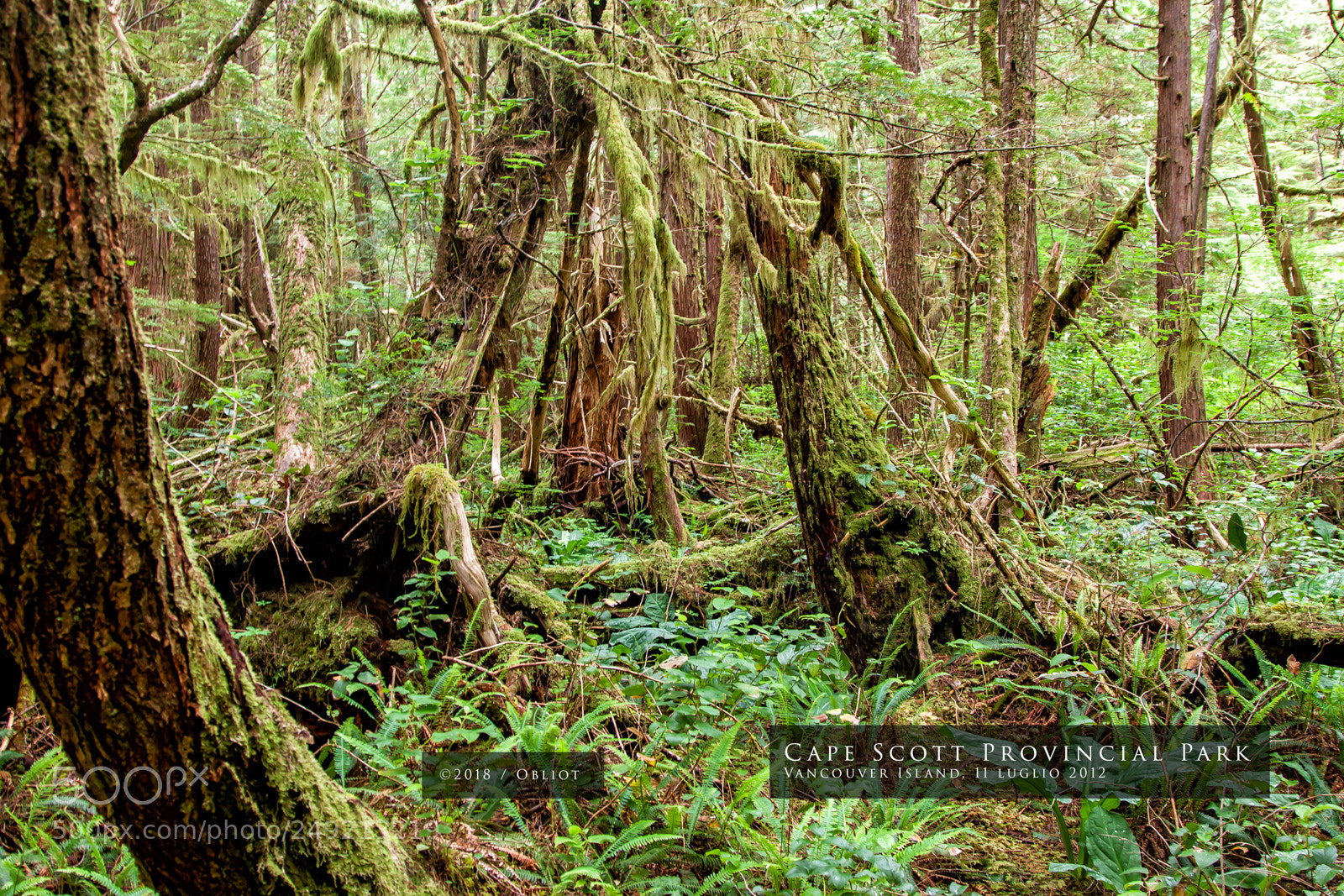 Canon EOS 50D sample photo. Cape scott provincial park photography